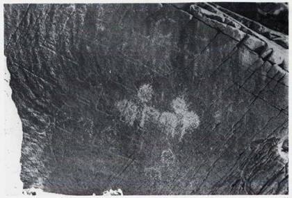Inscription of ʿAbd al-Raḥmān ibn Khālid ibn al-ʿĀṣ